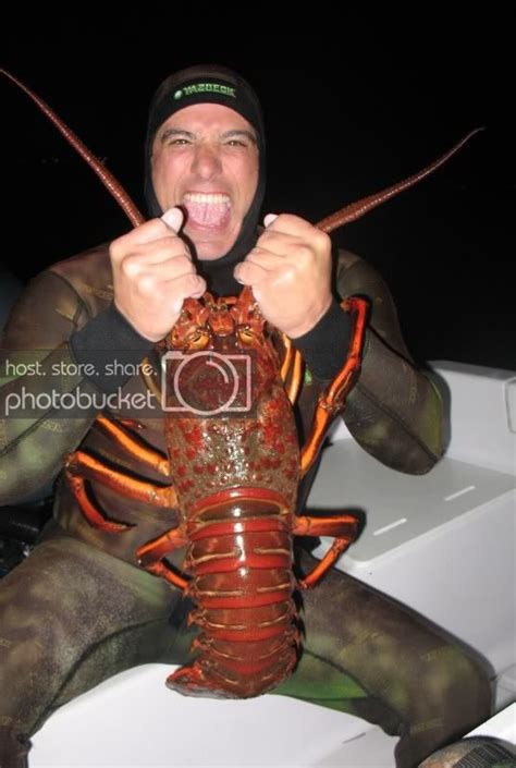 lobsterporn tube|Categories .